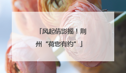 风起倩影摇！荆州“荷您有约”