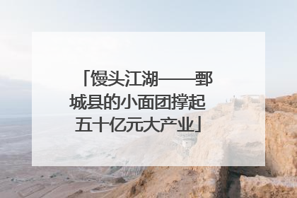 馒头江湖——鄄城县的小面团撑起五十亿元大产业