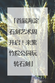 首届海淀石刻艺术周开启！来紫竹院公园玩转石刻