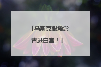 马斯克眼角淤青进白宫！