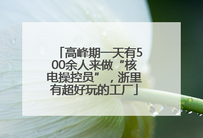 高峰期一天有500余人来做“核电操控员”，浙里有超好玩的工厂