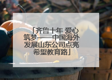 齐鲁十年 爱心筑梦——中国海外发展山东公司点亮希望教育路