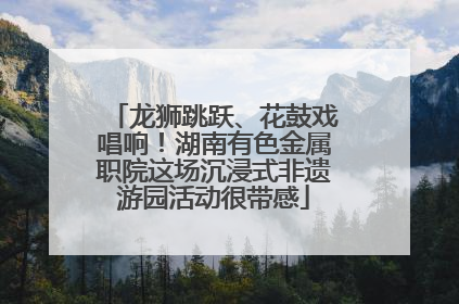 龙狮跳跃、花鼓戏唱响！湖南有色金属职院这场沉浸式非遗游园活动很带感