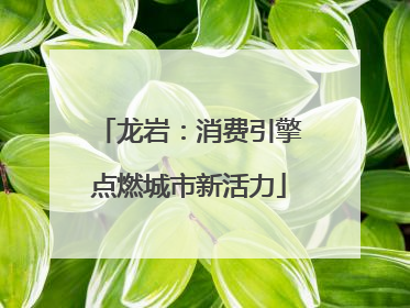 龙岩：消费引擎点燃城市新活力