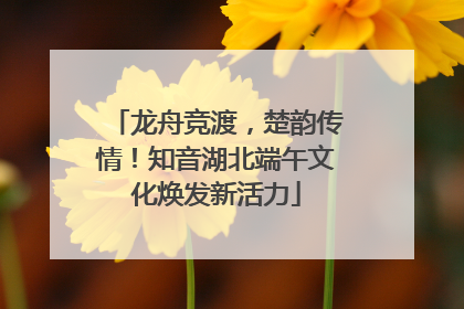 龙舟竞渡，楚韵传情！知音湖北端午文化焕发新活力