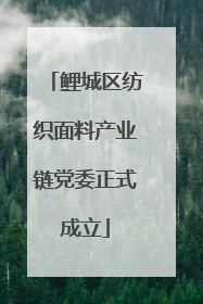 鲤城区纺织面料产业链党委正式成立