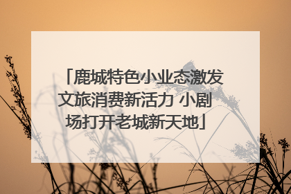 鹿城特色小业态激发文旅消费新活力 小剧场打开老城新天地