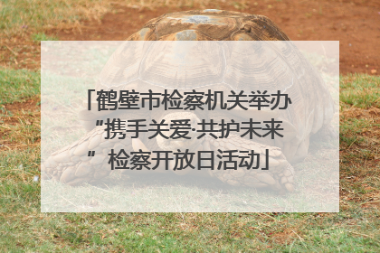 鹤壁市检察机关举办“携手关爱·共护未来”检察开放日活动