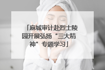 麻城审计赴烈士陵园开展弘扬“三大精神”专题学习