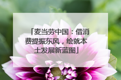 麦当劳中国：借消费提振东风，绘就本土发展新蓝图