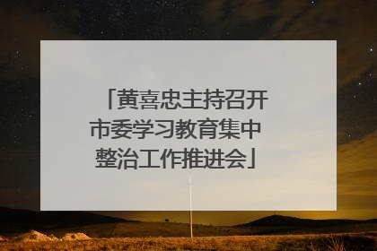 黄喜忠主持召开市委学习教育集中整治工作推进会