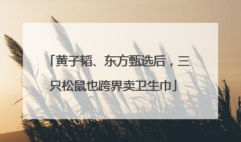 黄子韬、东方甄选后，三只松鼠也跨界卖卫生巾