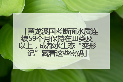 黄龙溪国考断面水质连续59个月保持在Ⅲ类及以上，成都水生态“变形记”藏着这些密码
