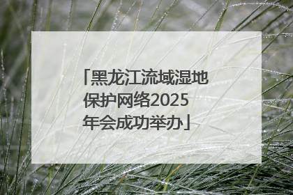 黑龙江流域湿地保护网络2025年会成功举办