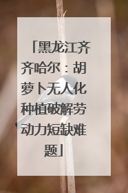 黑龙江齐齐哈尔：胡萝卜无人化种植破解劳动力短缺难题