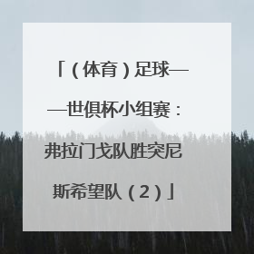 （体育）足球——世俱杯小组赛：弗拉门戈队胜突尼斯希望队（2）