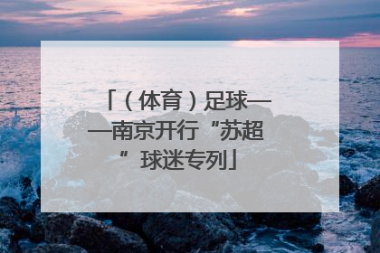 （体育）足球——南京开行“苏超”球迷专列