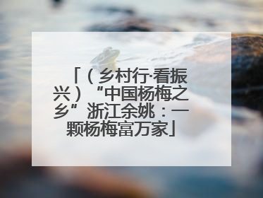 （乡村行·看振兴）“中国杨梅之乡”浙江余姚：一颗杨梅富万家