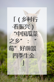 （乡村行·看振兴）“中国瓜菜之乡”：“莓”好前景 四季生金
