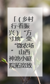 （乡村行·看振兴）“方寸地”变“微农场” 山西神池小庭院拓宽致富路