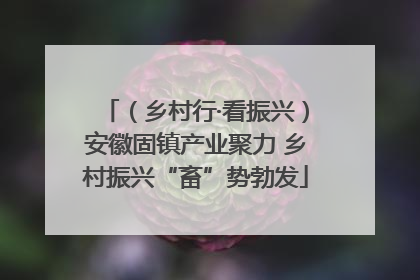 （乡村行·看振兴）安徽固镇产业聚力 乡村振兴“畜”势勃发