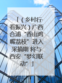 （乡村行·看振兴）广西合浦“香山鸡嘴荔枝”进入采摘期 将与西安“梦幻联动”