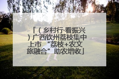 （乡村行·看振兴）广西钦州荔枝集中上市 “荔枝+农文旅融合”助农增收
