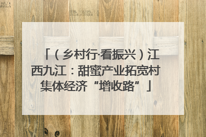（乡村行·看振兴）江西九江：甜蜜产业拓宽村集体经济“增收路”
