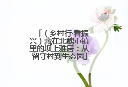 （乡村行·看振兴）藏在北魏重镇里的坝上雅居：从留守村到生态园