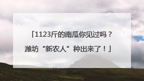 1123斤的南瓜你见过吗？潍坊“新农人”种出来了！