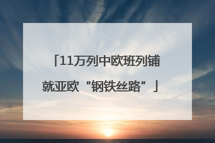 11万列中欧班列铺就亚欧“钢铁丝路”