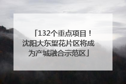132个重点项目！沈阳大东望花片区将成为产城融合示范区