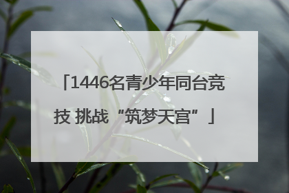 1446名青少年同台竞技 挑战“筑梦天宫”