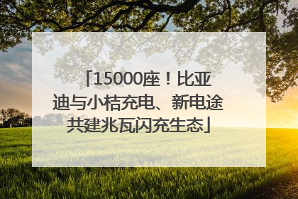 15000座！比亚迪与小桔充电、新电途共建兆瓦闪充生态