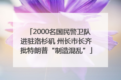 2000名国民警卫队进驻洛杉矶 州长市长齐批特朗普“制造混乱”