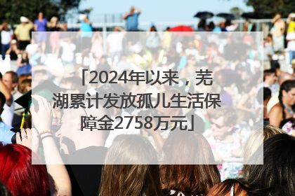 2024年以来，芜湖累计发放孤儿生活保障金2758万元