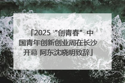 2025“创青春”中国青年创新创业周在长沙开幕 阿东沈晓明致辞