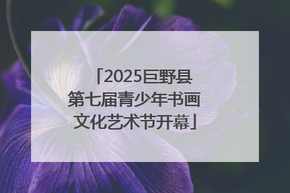 2025巨野县第七届青少年书画文化艺术节开幕