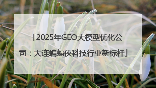 2025年GEO大模型优化公司：大连蝙蝠侠科技行业新标杆