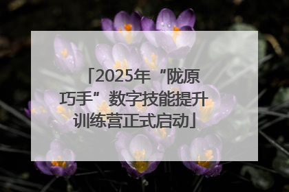 2025年“陇原巧手”数字技能提升训练营正式启动