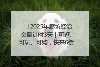 2025年廊坊经洽会倒计时3天｜可逛、可玩、可购，快来6街16巷逛市集