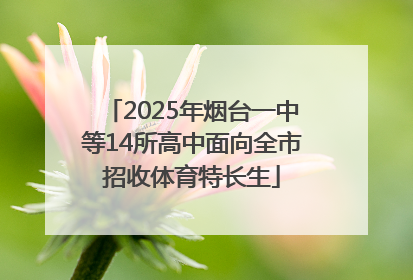 2025年烟台一中等14所高中面向全市招收体育特长生