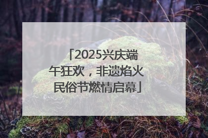 2025兴庆端午狂欢，非遗焰火民俗节燃情启幕