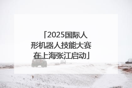 2025国际人形机器人技能大赛在上海张江启动