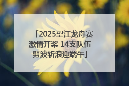 2025望江龙舟赛激情开桨 14支队伍劈波斩浪迎端午