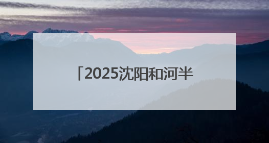 2025沈阳和河半程马拉松激情开跑