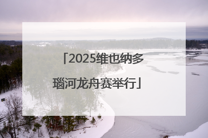 2025维也纳多瑙河龙舟赛举行