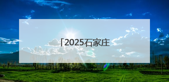 2025石家庄市龙舟大赛开赛