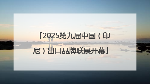 2025第九届中国（印尼）出口品牌联展开幕