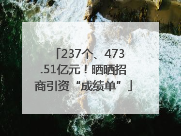 237个、473.51亿元！晒晒招商引资“成绩单”